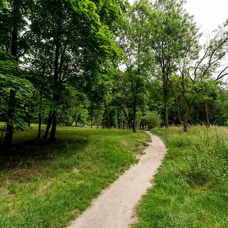 公寓 Lema Near Tauron Arena 克拉科夫